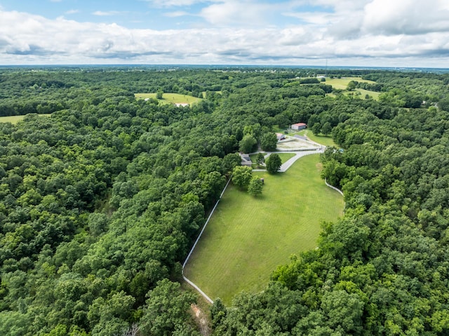 2029 Moon Valley Rd, Ozark, MO 65721 - aerial view of a heavily wooded area