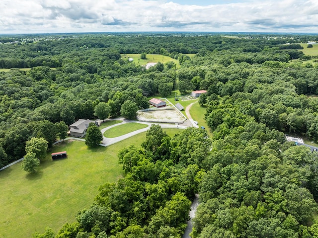 2029 Moon Valley Rd, Ozark, MO 65721 - aerial view of a forest