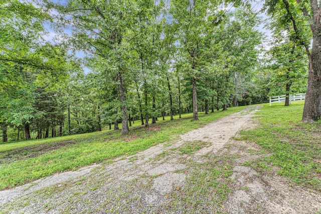 2029 Moon Valley Rd, Ozark, MO 65721 - view of road with a view of trees