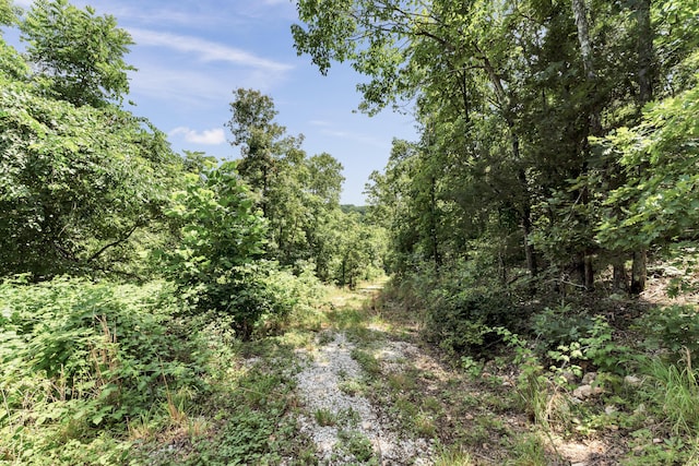 2029 Moon Valley Rd, Ozark, MO 65721 - view of woods