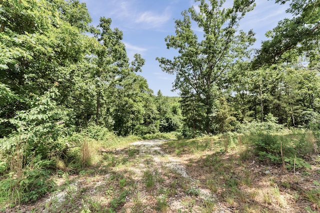 2029 Moon Valley Rd, Ozark, MO 65721 - view of tree filled area