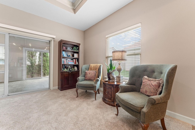 265 Siena Blvd, Branson, MO 65616 - photo 25