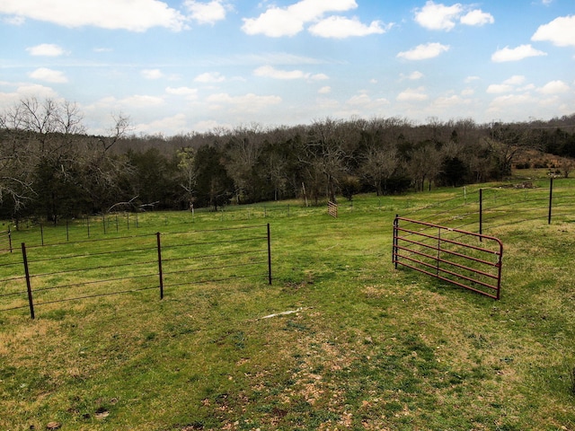 123 Fossil Cove Rd, Cape Fair, MO 65624 - view of yard with a view of countryside, a gate, and a forest view