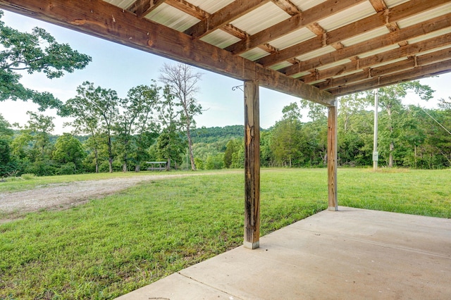123 Fossil Cove Rd, Cape Fair, MO 65624 - view of green lawn with a patio area and a forest view