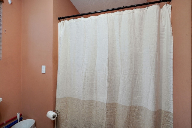 123 Fossil Cove Rd, Cape Fair, MO 65624 - bathroom with toilet and a shower with curtain