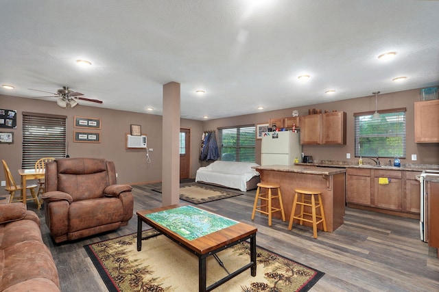 123 Fossil Cove Rd, Cape Fair, MO 65624 - living room with plenty of natural light, dark wood-style flooring, ceiling fan, and recessed lighting