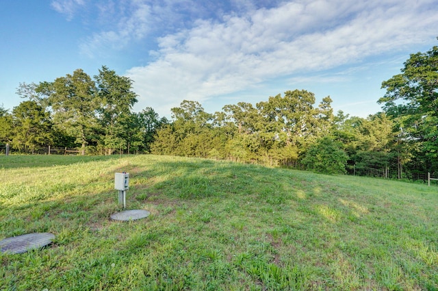 123 Fossil Cove Rd, Cape Fair, MO 65624 - view of grassy yard featuring a forest view