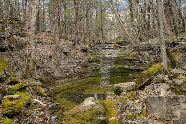 123 Fossil Cove Rd, Cape Fair, MO 65624 - view of undeveloped land