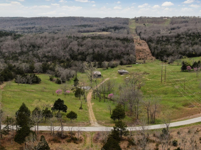 123 Fossil Cove Rd, Cape Fair, MO 65624 - aerial view of sparsely populated area