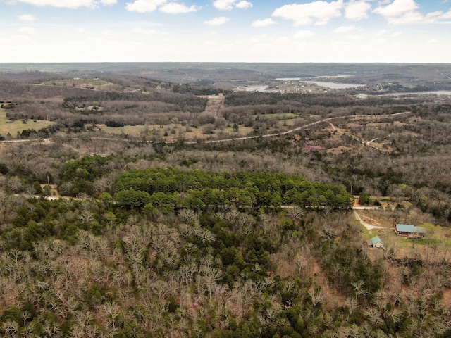 123 Fossil Cove Rd, Cape Fair, MO 65624 - bird's eye view of a forest