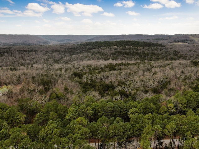 123 Fossil Cove Rd, Cape Fair, MO 65624 - mountain view with a forest