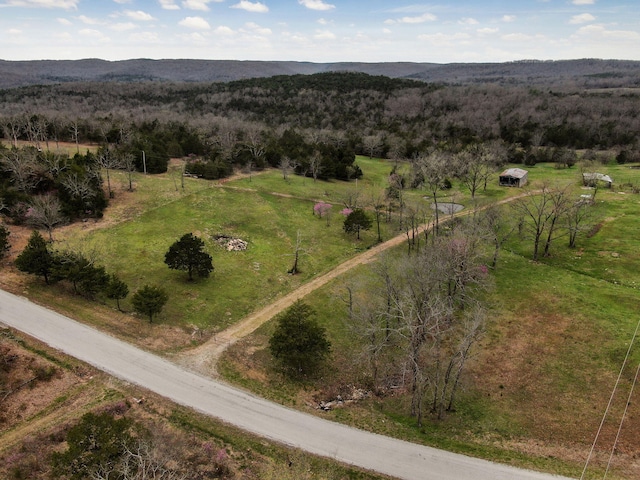 123 Fossil Cove Rd, Cape Fair, MO 65624 - overview of rural landscape with a heavily wooded area