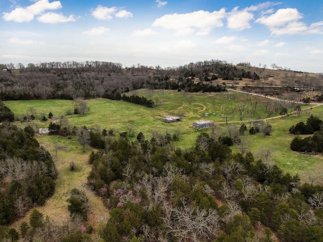 123 Fossil Cove Rd, Cape Fair, MO 65624 - overview of rural landscape