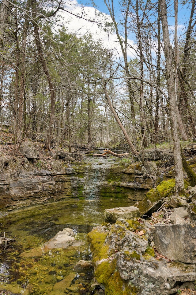123 Fossil Cove Rd, Cape Fair, MO 65624 - view of nature