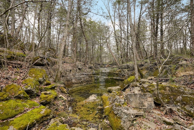 123 Fossil Cove Rd, Cape Fair, MO 65624 - view of nature
