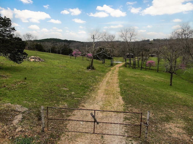123 Fossil Cove Rd, Cape Fair, MO 65624 - view of yard with a rural view