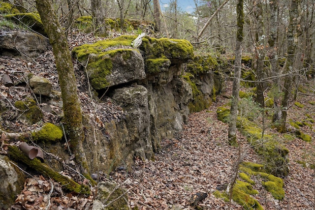 123 Fossil Cove Rd, Cape Fair, MO 65624 - view of local wilderness