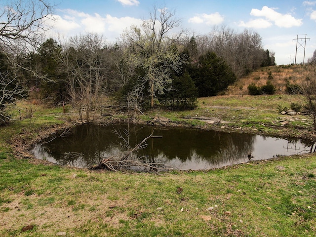 123 Fossil Cove Rd, Cape Fair, MO 65624 - water view