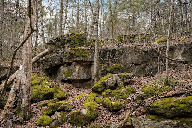 123 Fossil Cove Rd, Cape Fair, MO 65624 - view of nature