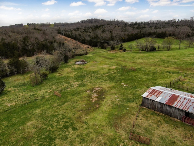 123 Fossil Cove Rd, Cape Fair, MO 65624 - view of rural area featuring a pastoral area