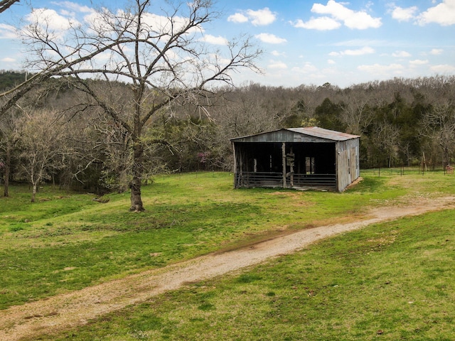 123 Fossil Cove Rd, Cape Fair, MO 65624 - view of green lawn with an outbuilding, a forest view, and dirt driveway