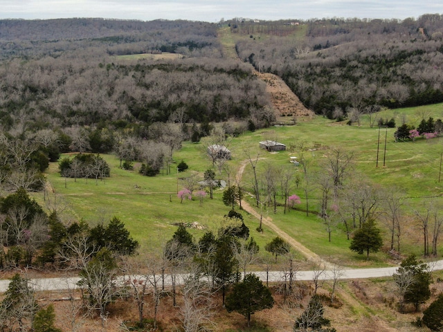 123 Fossil Cove Rd, Cape Fair, MO 65624 - overview of rural landscape with a forest