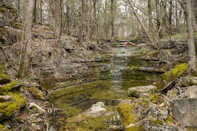 123 Fossil Cove Rd, Cape Fair, MO 65624 - view of local wilderness