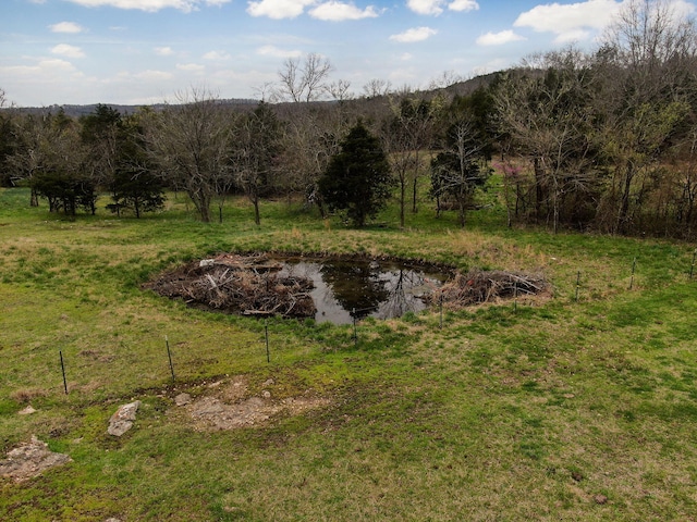 123 Fossil Cove Rd, Cape Fair, MO 65624 - view of yard