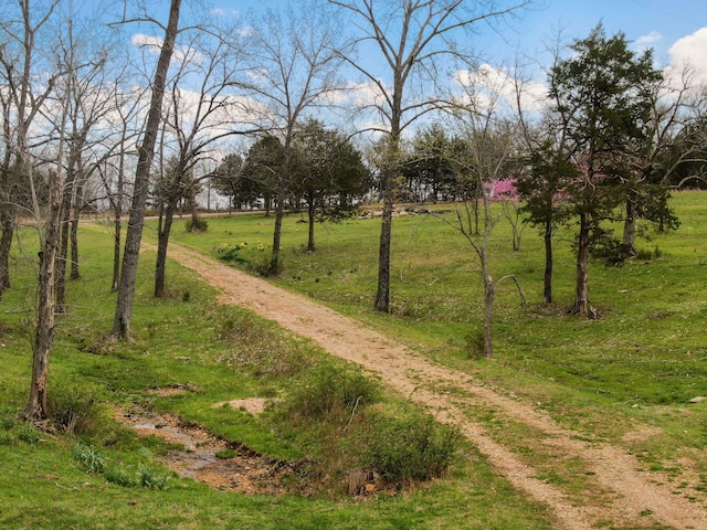 123 Fossil Cove Rd, Cape Fair, MO 65624 - view of community