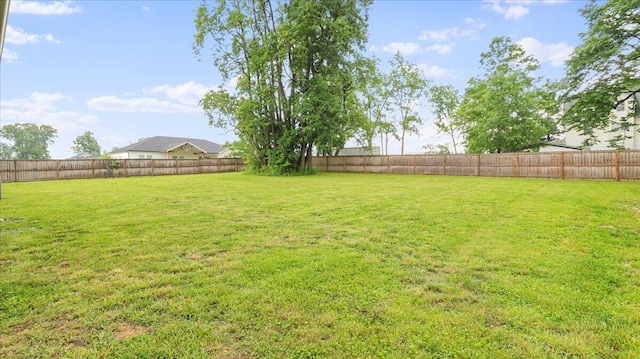 2606 Country Dr, Mountain Grove, MO 65711 - view of yard