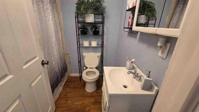 19508 State Highway 112, Cassville, MO 65625 - bathroom with wood finished floors, toilet, vanity, baseboards, and a shower with curtain