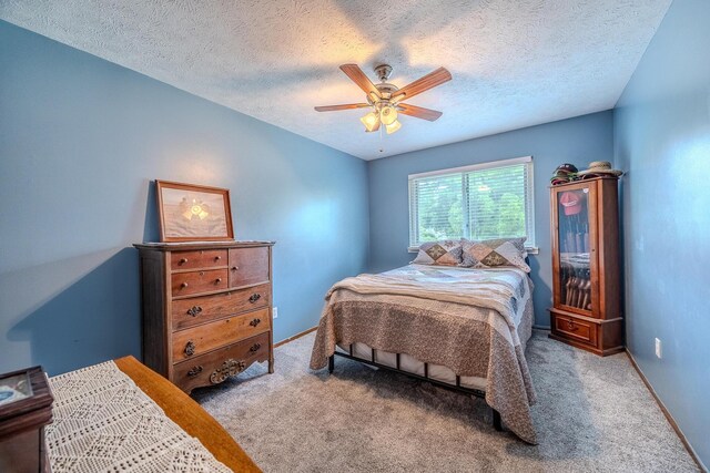 2144 Ledge Rock Rd, Grovespring, MO 65662 - photo 24