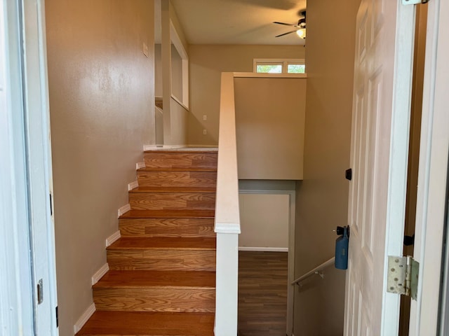 2004 S 16th St, Ozark, MO 65721 - stairway featuring wood finished floors, ceiling fan, and baseboards