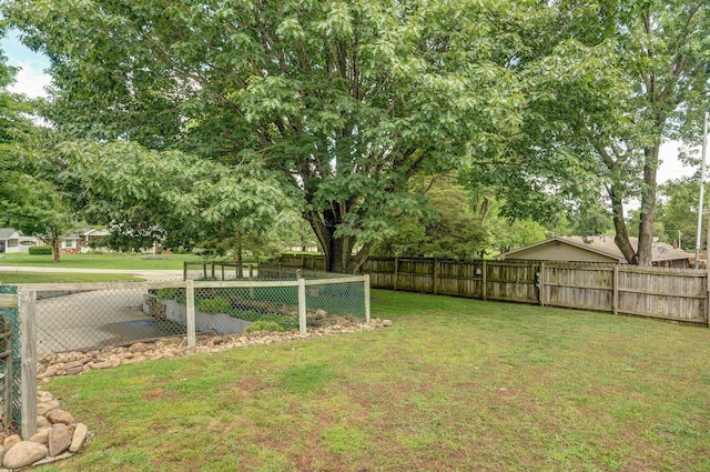 401 E Glendale St, Aurora, MO 65605 - view of yard