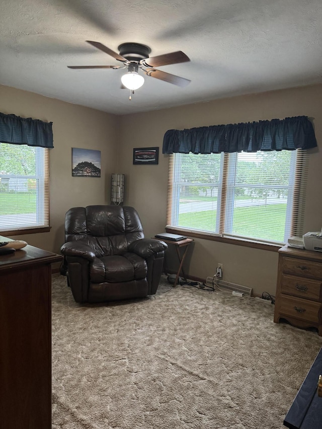 853 Sunset Ave, Marshfield, MO 65706 - living area featuring plenty of natural light, carpet floors, a ceiling fan, and a textured ceiling