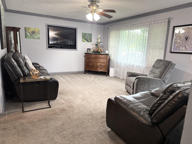 853 Sunset Ave, Marshfield, MO 65706 - living area with carpet, ceiling fan, crown molding, baseboards, and a textured ceiling