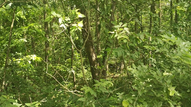 LOT142143 Farm Rd Unit 1255, Shell Knob, MO 65747