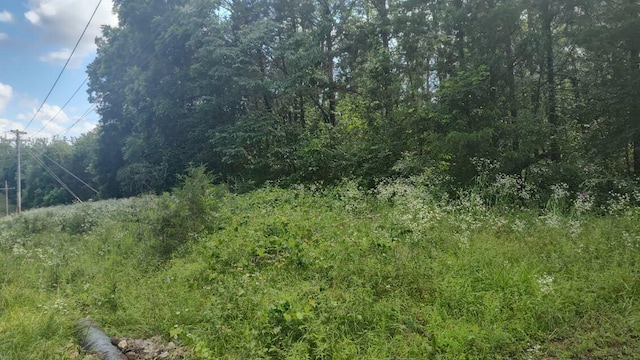 LOT142143 Farm Rd Unit 1255, Shell Knob, MO 65747