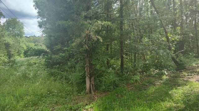 LOT142143 Farm Rd Unit 1255, Shell Knob, MO 65747