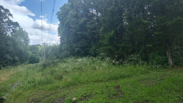 LOT142143 Farm Rd Unit 1255, Shell Knob, MO 65747