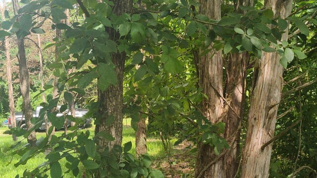 LOT142143 Farm Rd Unit 1255, Shell Knob, MO 65747