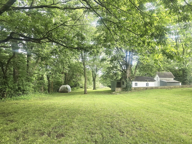 221 Boisseau St, Greenfield, MO 65661 - view of green lawn