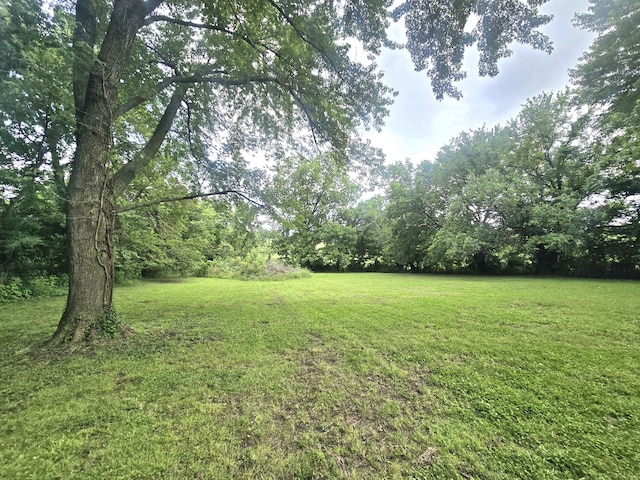 221 Boisseau St, Greenfield, MO 65661 - view of green lawn featuring a view of trees