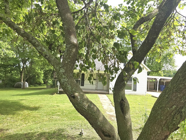 221 Boisseau St, Greenfield, MO 65661 - view of green lawn