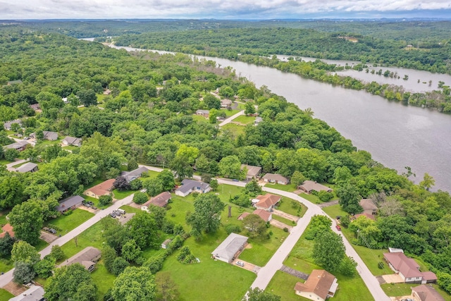 225 Elim St, Forsyth, MO 65653 - drone / aerial view of a forest and a large body of water