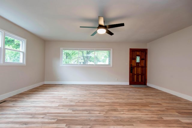 1317 S Maryland Ave, Springfield, MO 65807 - photo 6