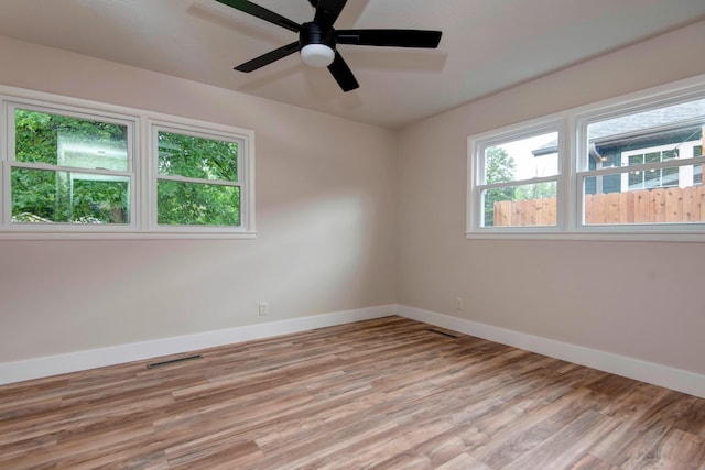 1317 S Maryland Ave, Springfield, MO 65807 - photo 17