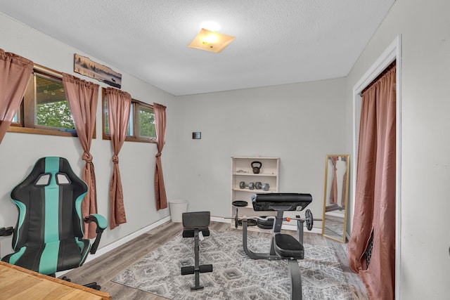 21371 Howell Rd, Mountain View, MO 65548 - exercise room with wood finished floors and a textured ceiling