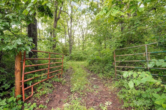000 Lawrence Unit 1160, Verona, MO 65769
