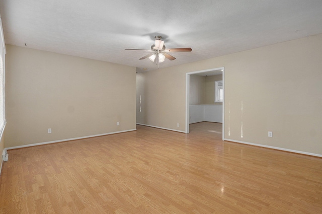 1437 S Catalina Ave, Springfield, MO 65804 - photo 4